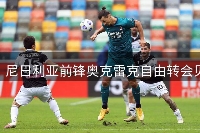 尼日利亚前锋奥克雷克自由转会贝内文托