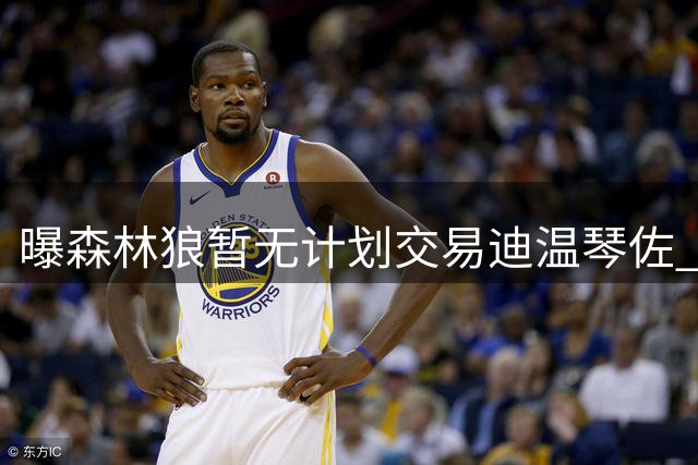 曝森林狼暂无计划交易迪温琴佐 将耐心等待他复出
