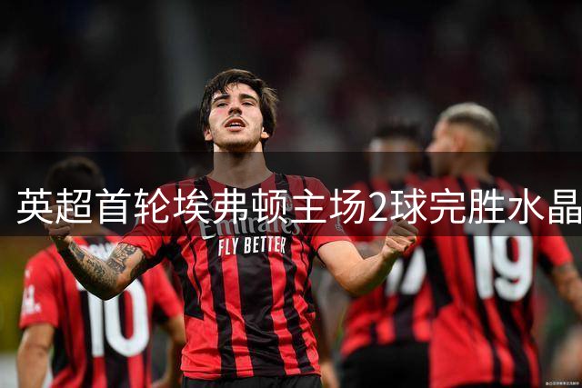 英超首轮埃弗顿主场2球完胜水晶宫 霍尔巴里各入一球