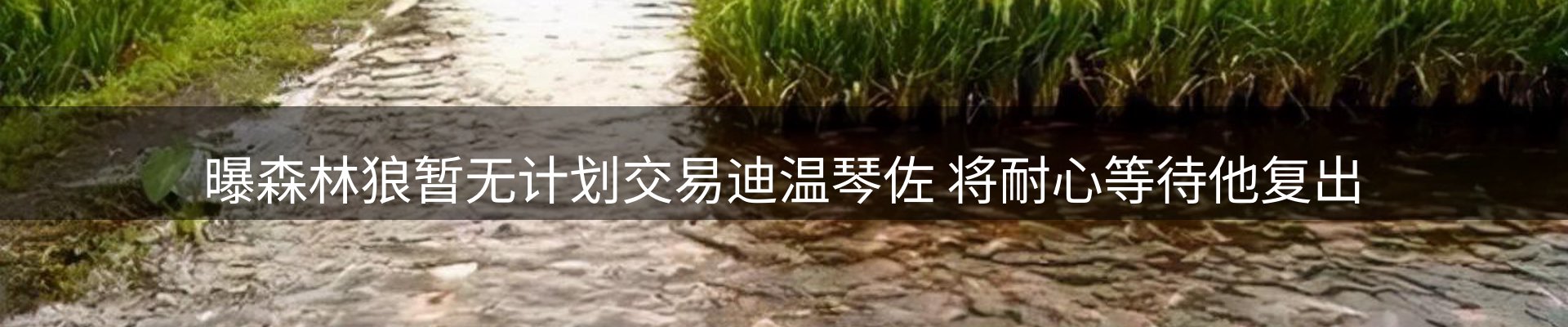 平台观察