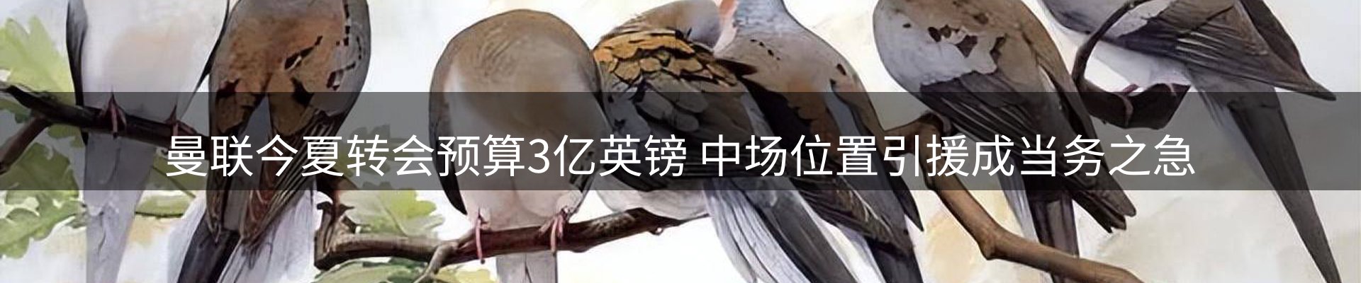 最新资讯