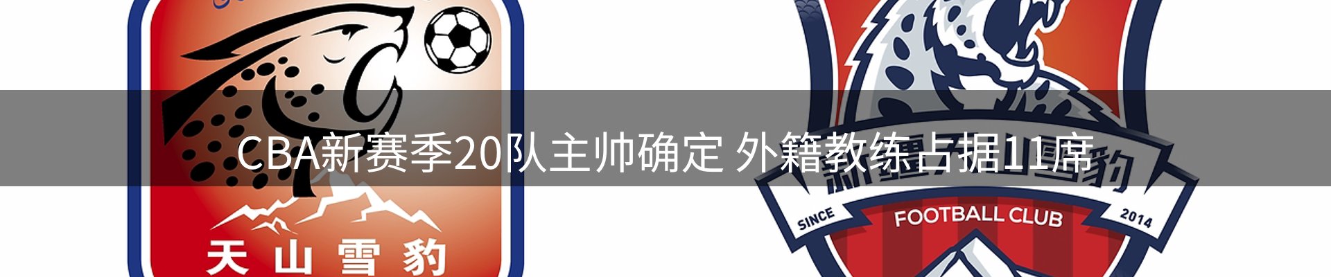最新资讯